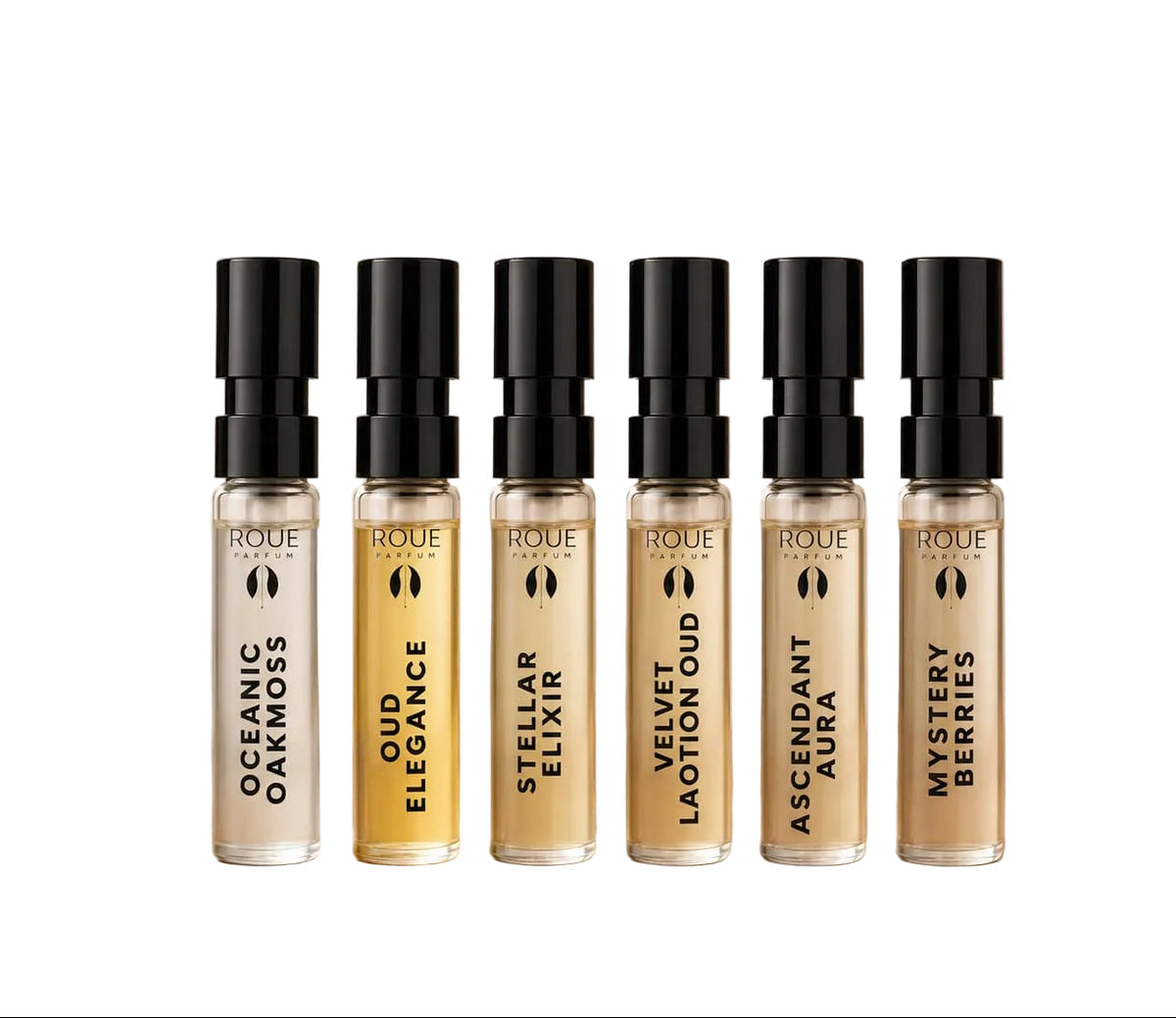 Discovery Set Of 6