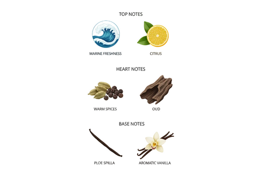 Fragrance notes: Marine Freshness, Citrus, Warm Spices, Oud, Aromatic Vanilla