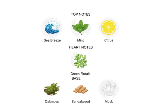 Fragrance notes: Sea Breeze, Mint, Citrus, Green Florals, Oakmoss, Sandalwood, Musk